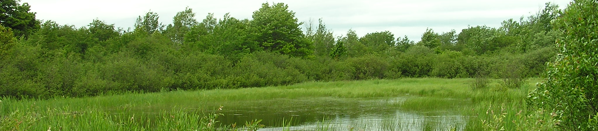 Laurium pond